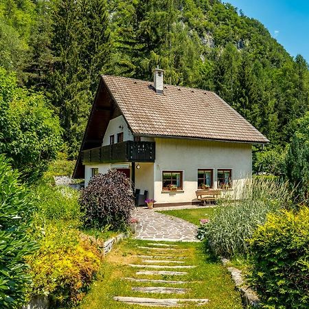 Hisa Nasproti Sonca Villa Кранска гора Екстериор снимка